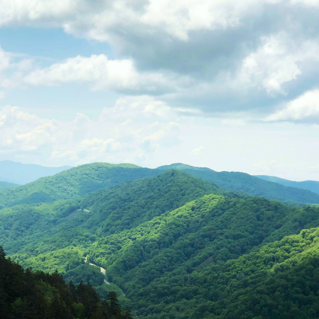 May 10th Women's Hiking + Journaling
